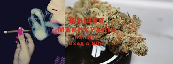индика Новый Уренгой